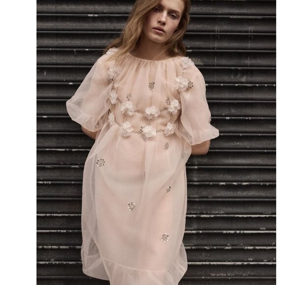 Zara Women $159 ORGANZA JEWEL DRESS Light PINK 5344/903 L NWT - Picture 1 of 10